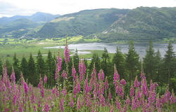 bassenthwaite